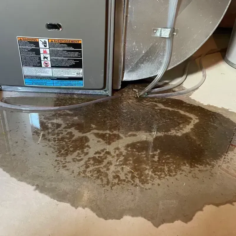 Appliance Leak Cleanup in Red Bud, IL